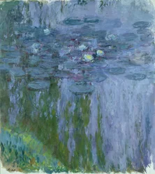 Nymphéas, 1916-19